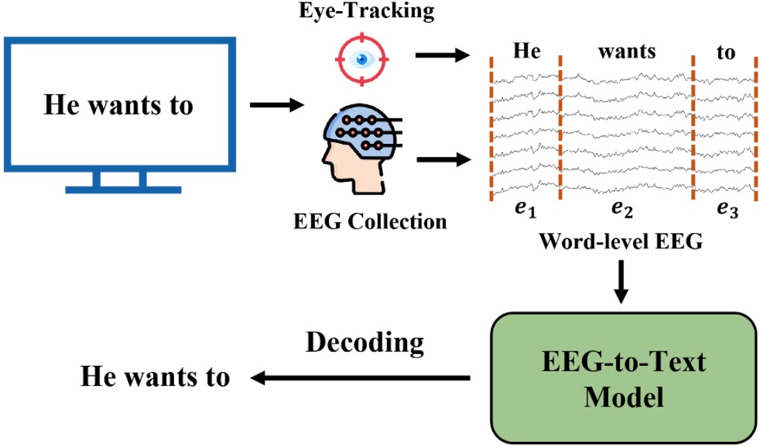 EEG Signals and Language